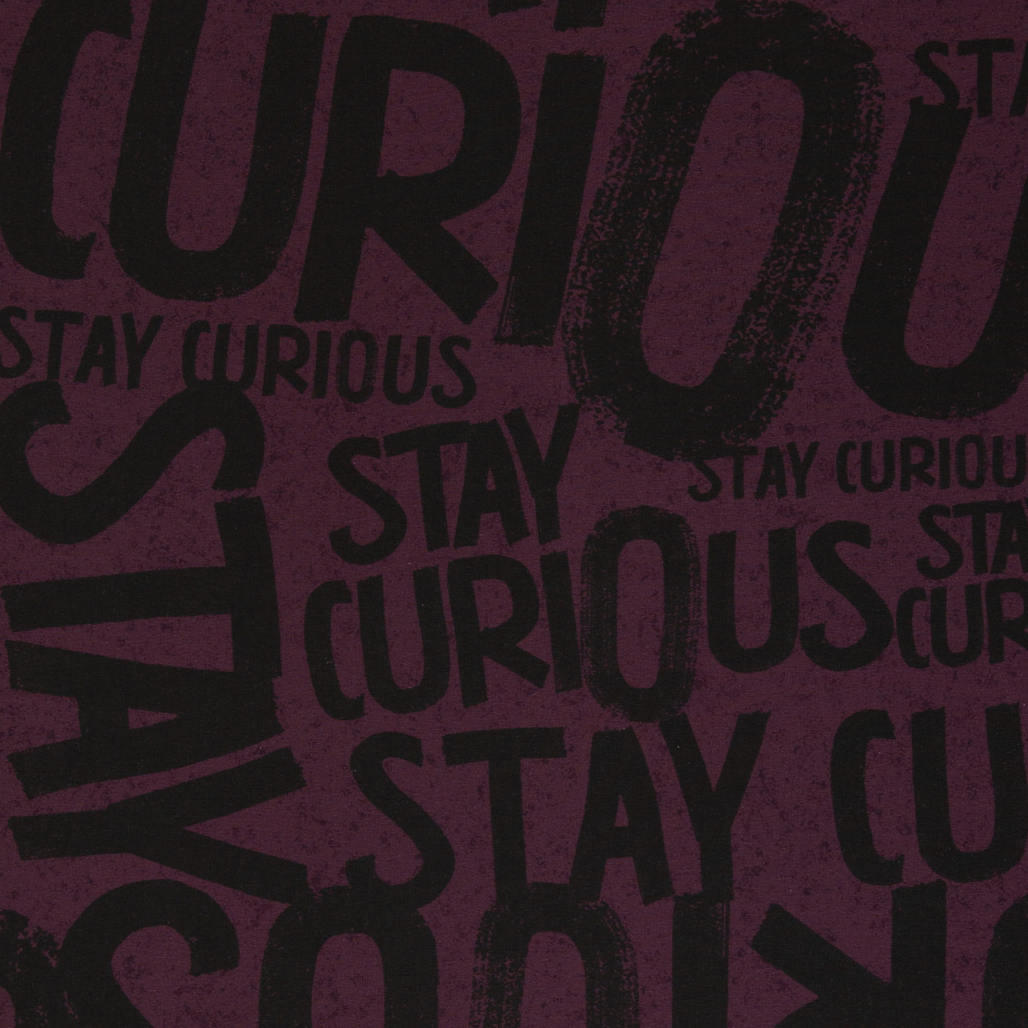 French Terry "Stay Curious" in by Thorsten Berger