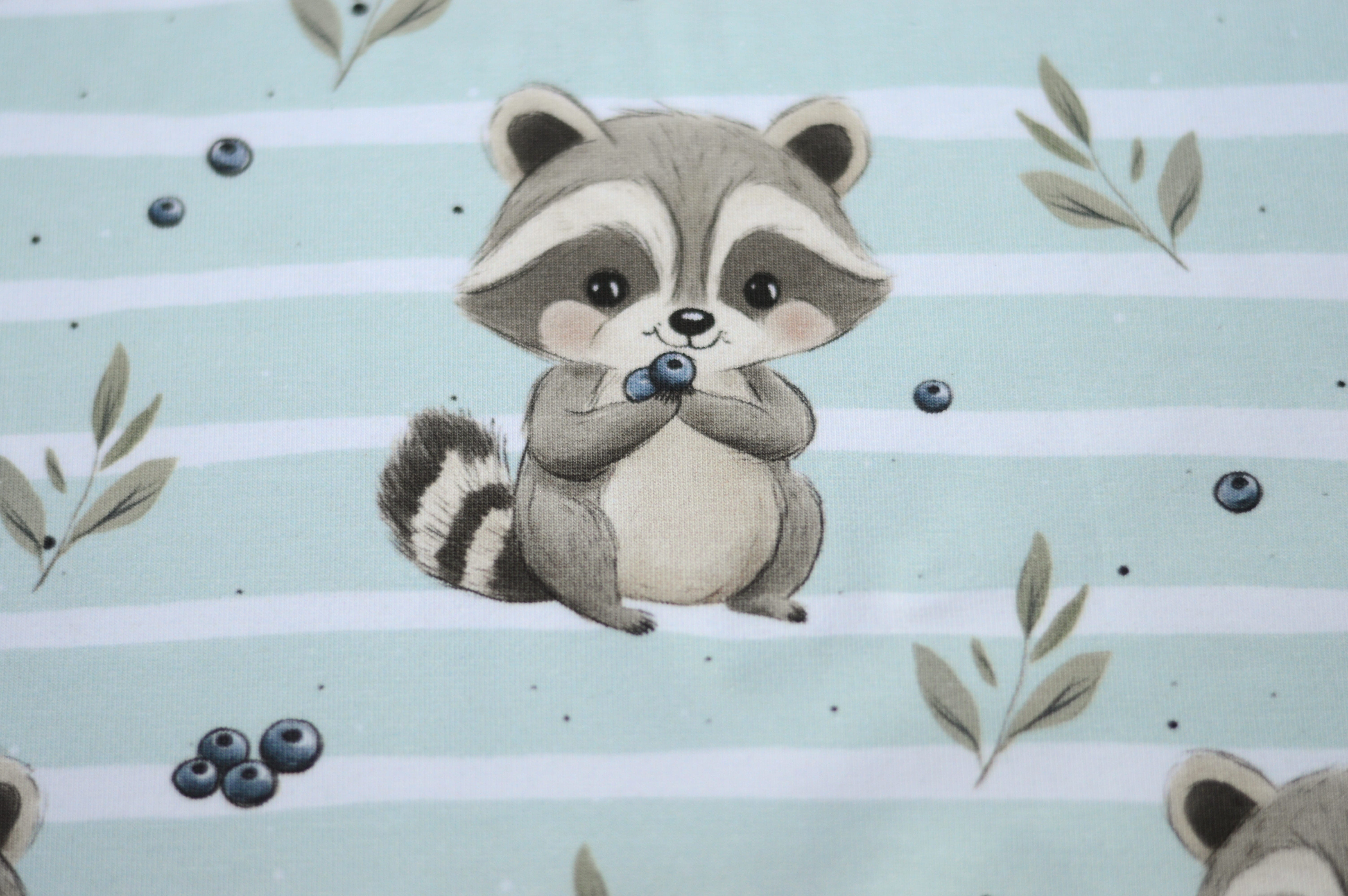 Digitaljersey Eigenproduktion "Rocky Waschbär - der kleine Blaubeerfreund" - mint/weiß gestreift