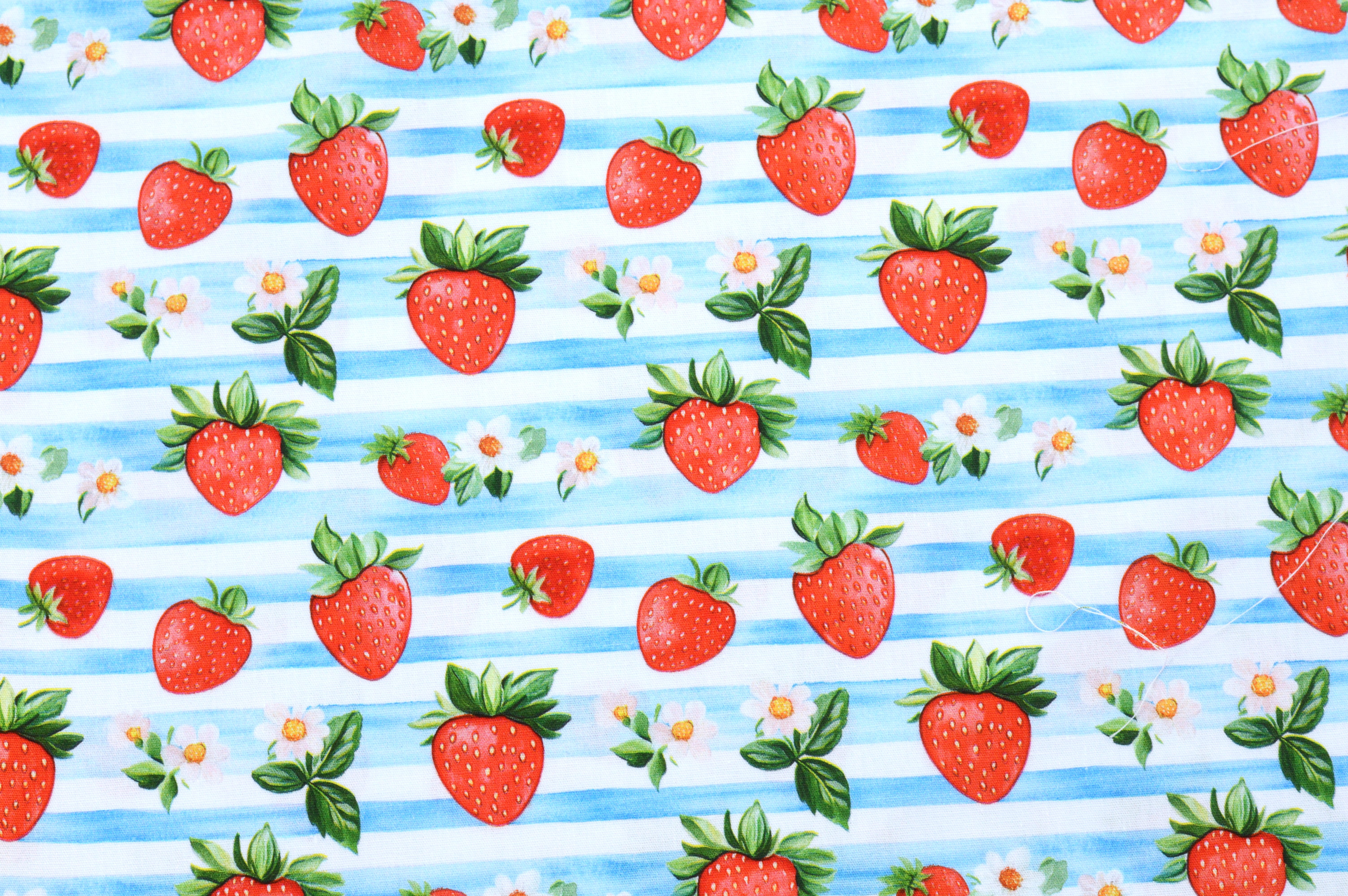 Baumwollstoff Digitaldruck Eigenproduktion mit kleinen Blumen und Erdbeeren - weiß/blau gestreift 
