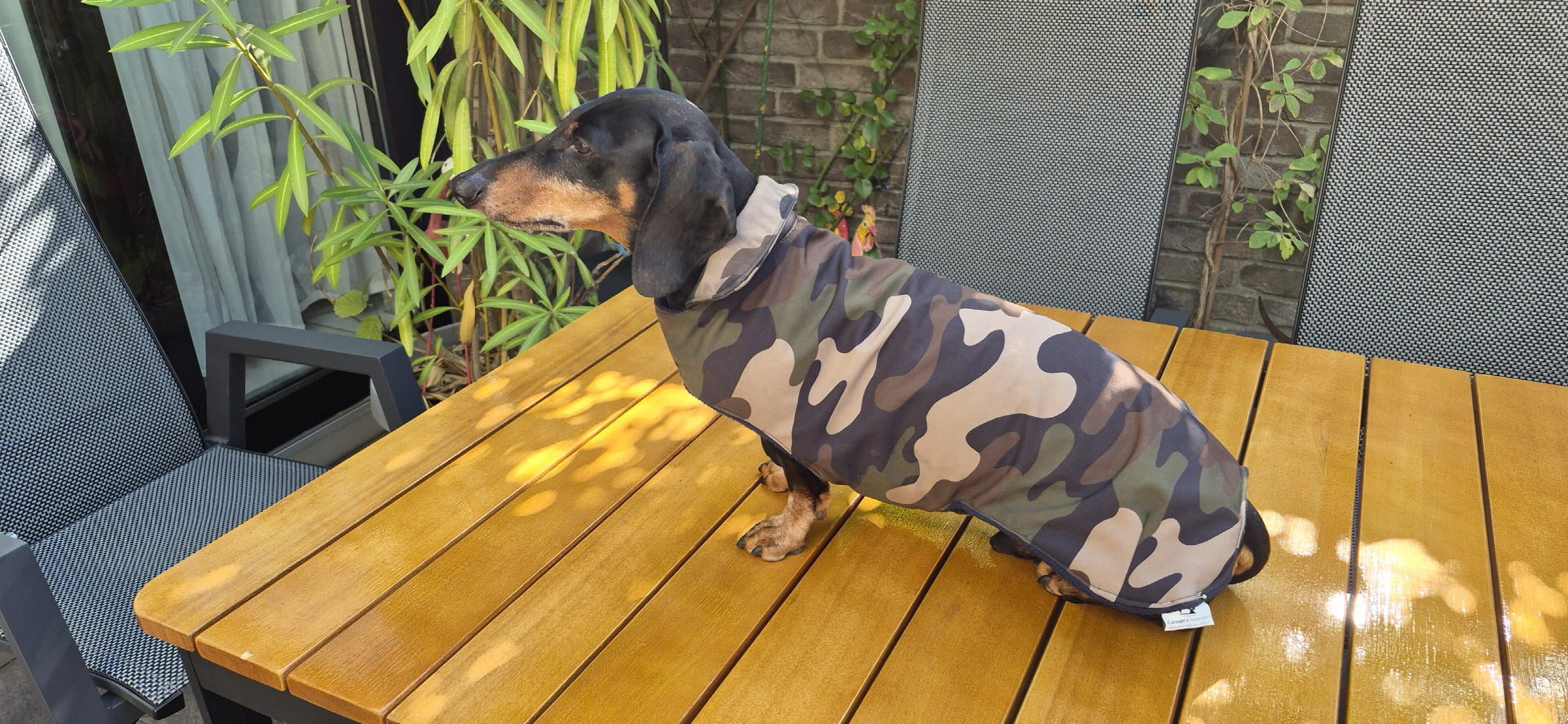 Hundemantel für Dackel