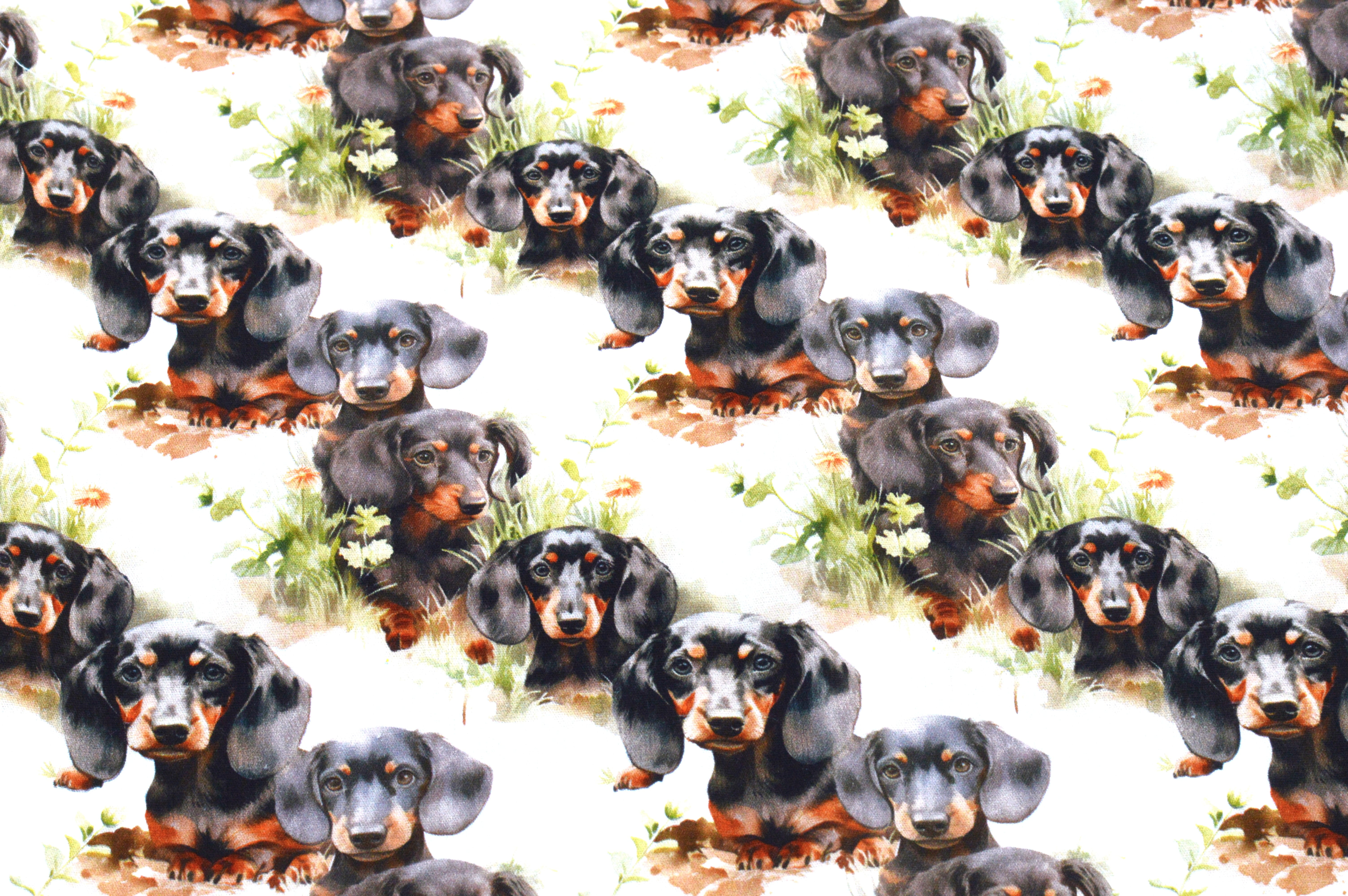 Baumwollstoff Digitaldruck Eigenproduktion "Dackelbande" mit süßen Dackeln - weiß