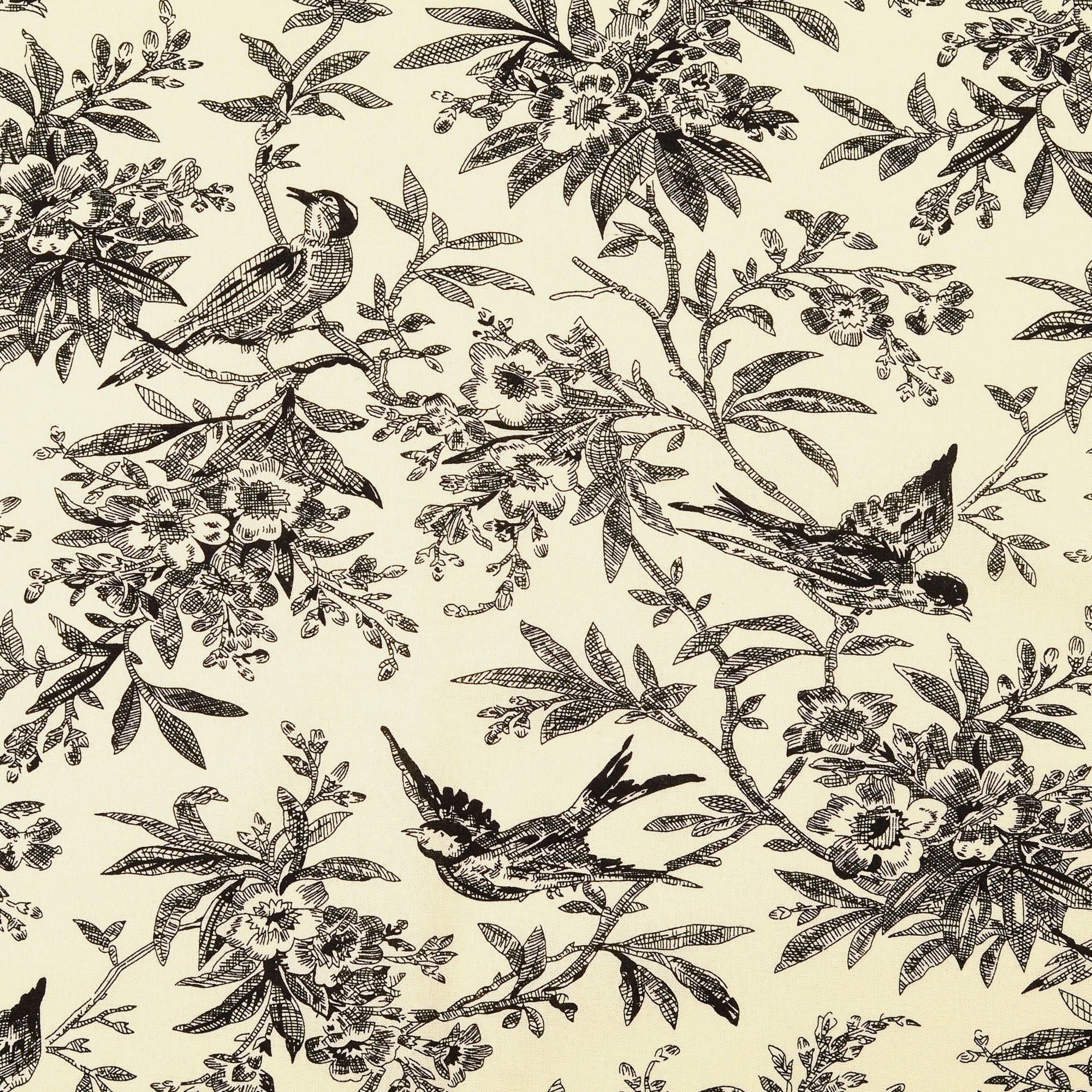 Baumwollstoff Popeline mit Vintage-Vögeln und Blumenranken - creme/schwarz