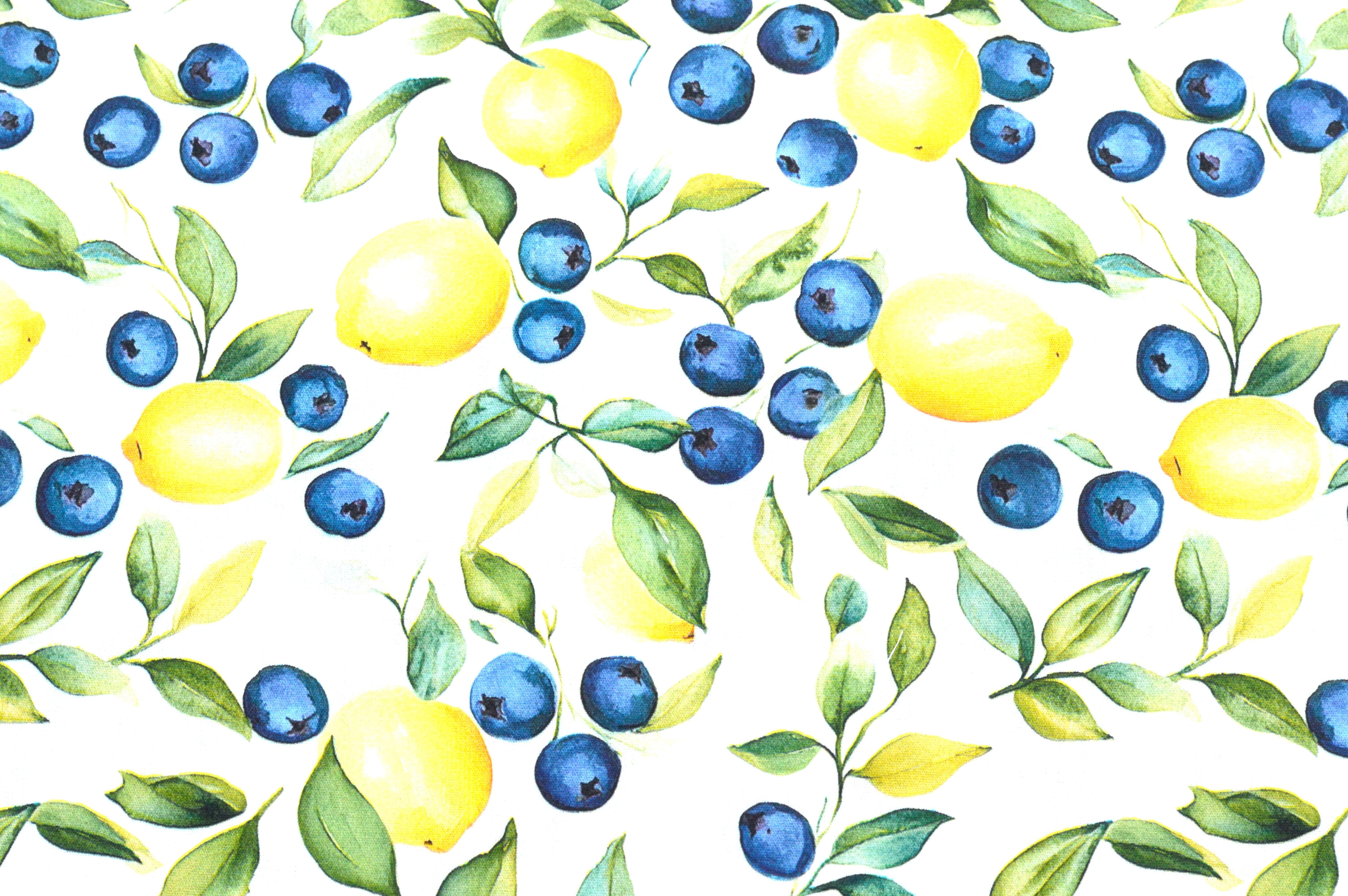 Baumwollstoff Digitaldruck Eigenproduktion mit Zitronen, Blaubeeren und Blättern - ecru 