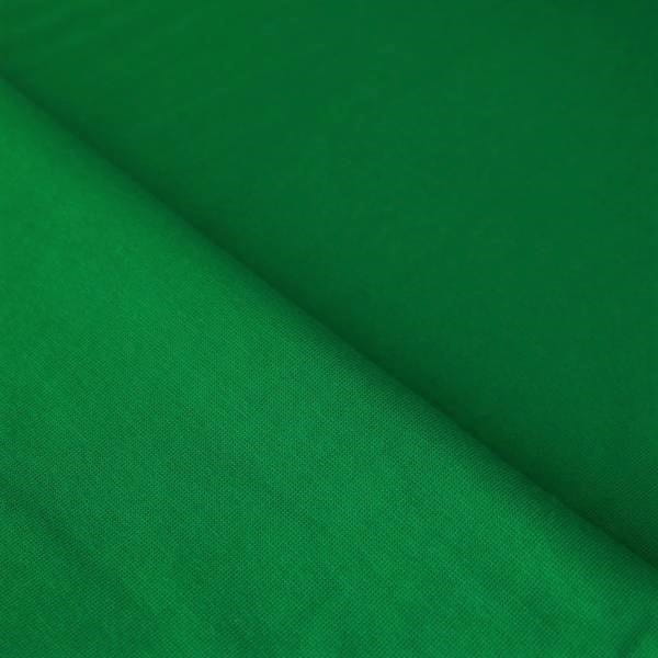 froschgrün (L301)