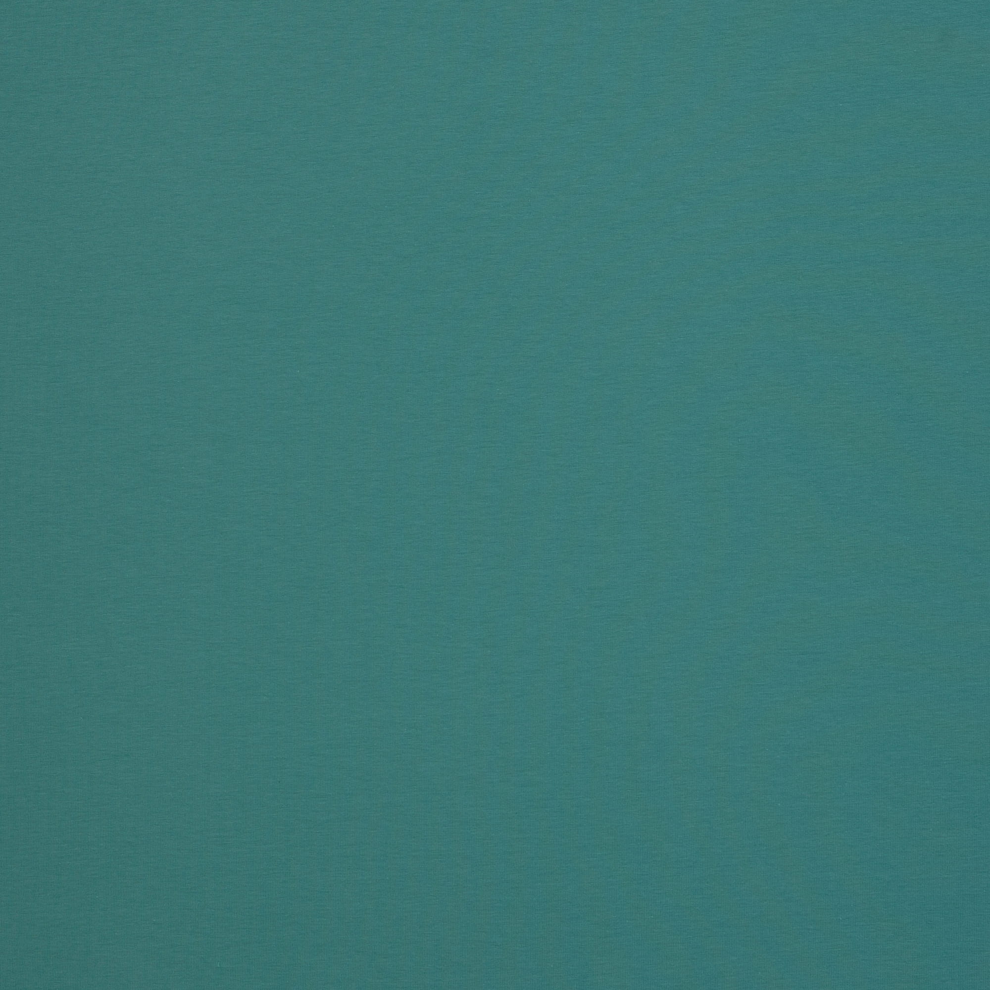 dark dusty mint (263)