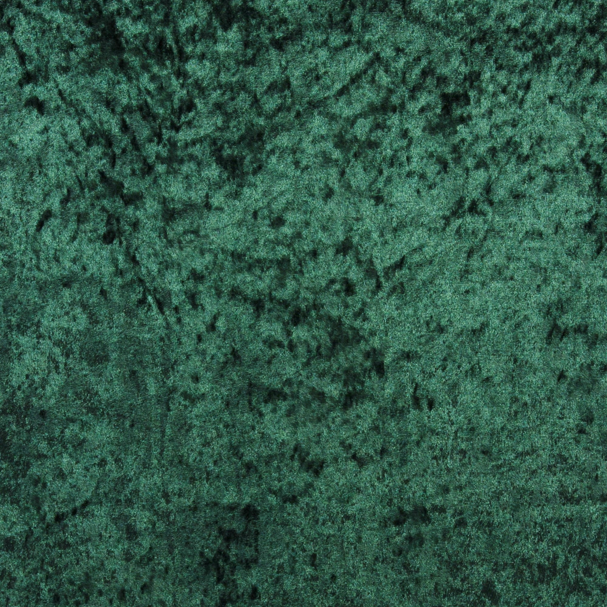 dunkelgrün 19-5513