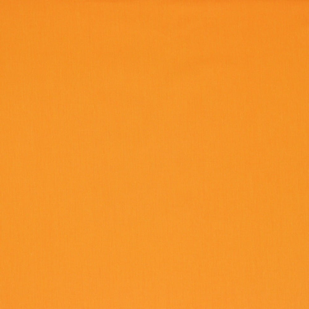 apricot (067)