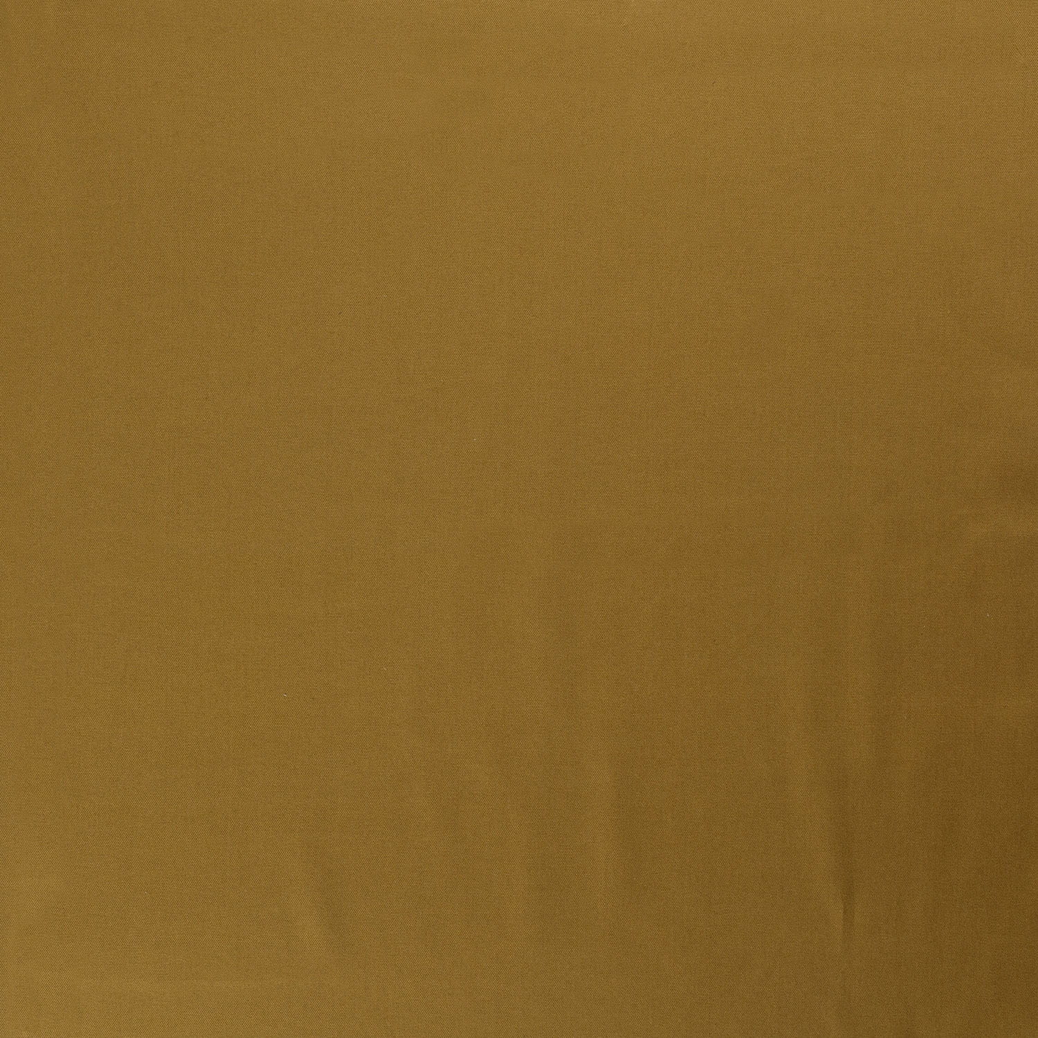 ocker (N137)