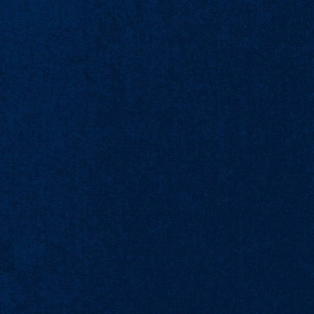 navy (1194)