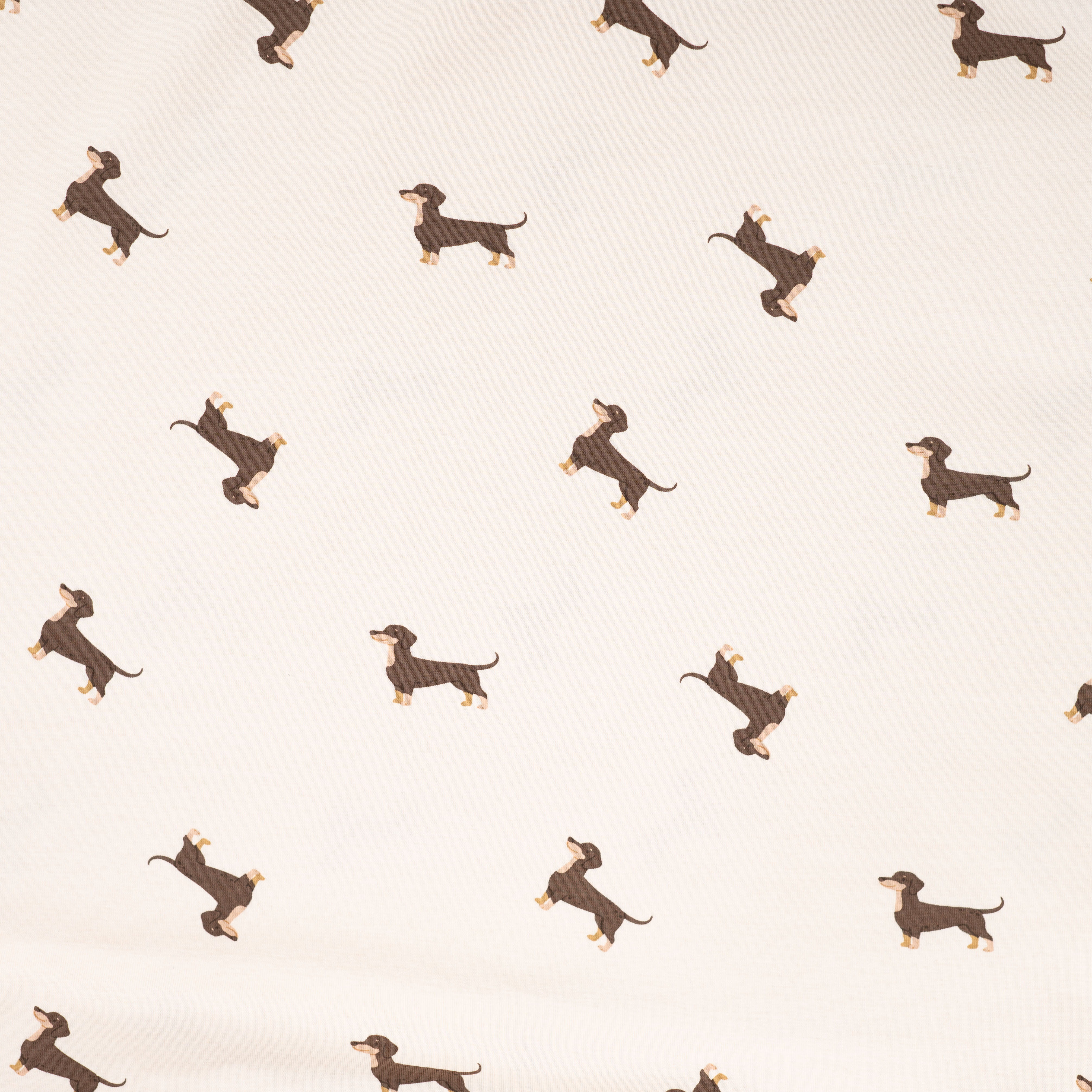 Baumwolljersey mit Dackeln - sand 