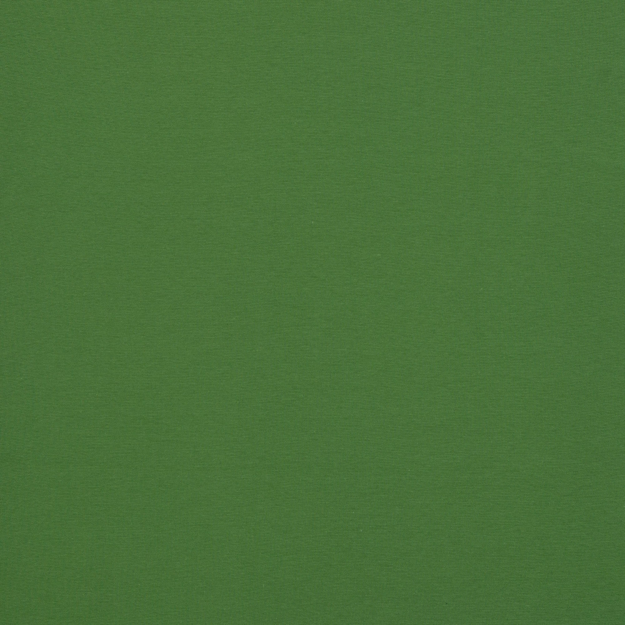 0,75m Reststück   Bündchen Heike Swafing uni lime (603)