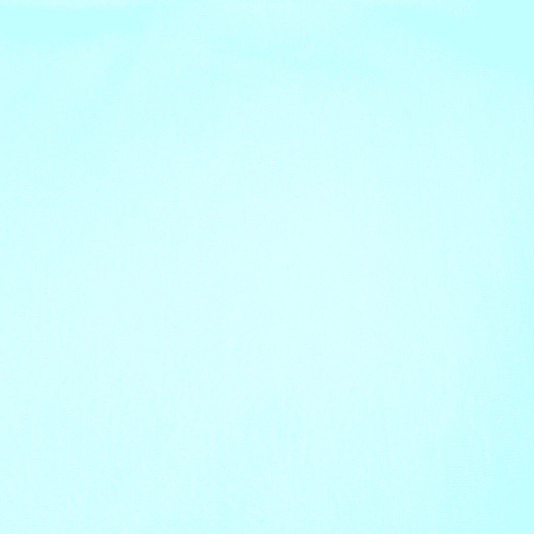 Baumwolljersey uni Premium - pastell mint (1249)