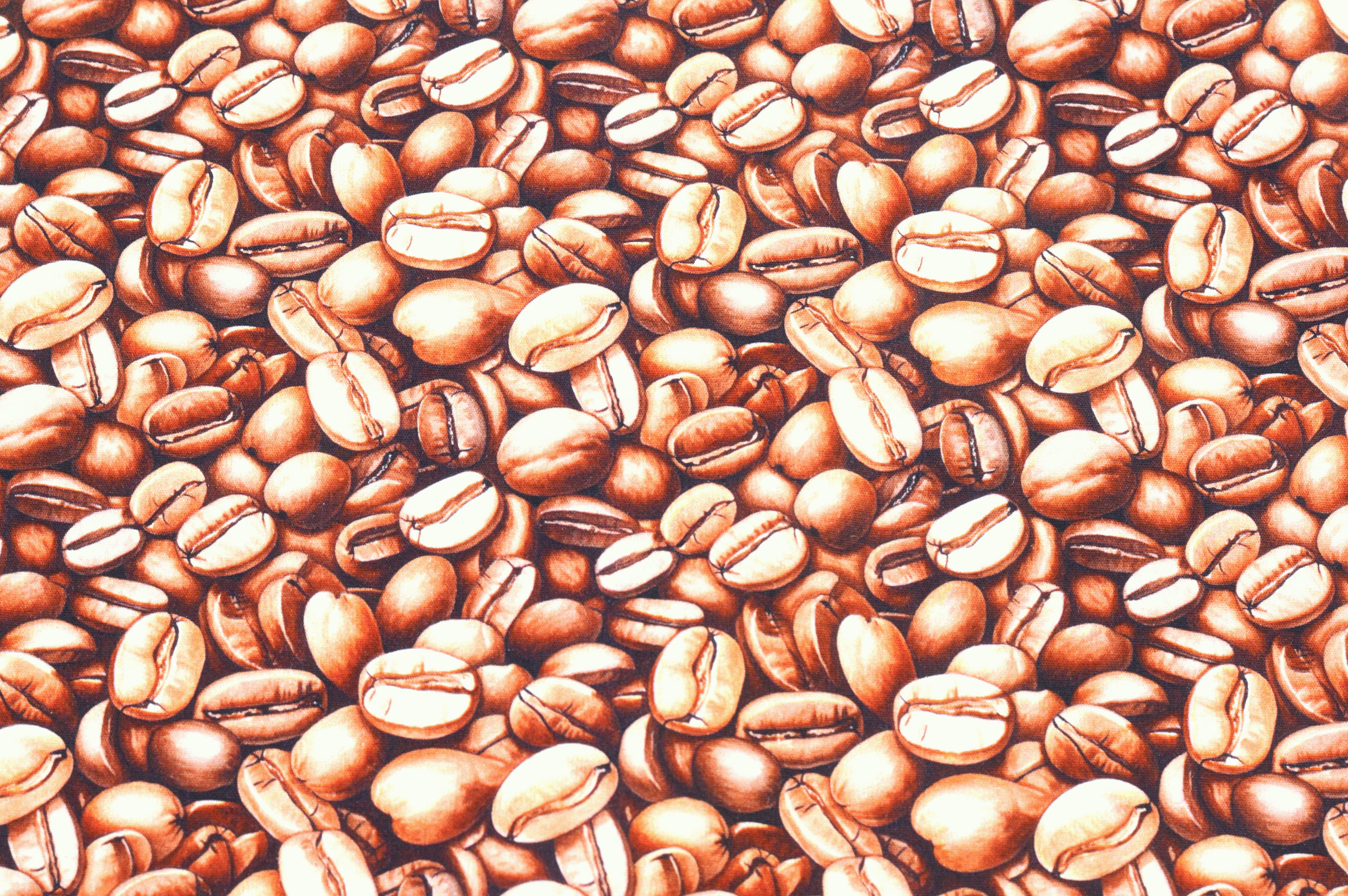 Baumwollstoff Digitaldruck Eigenproduktion mit Kaffeebohnen - braun/beige