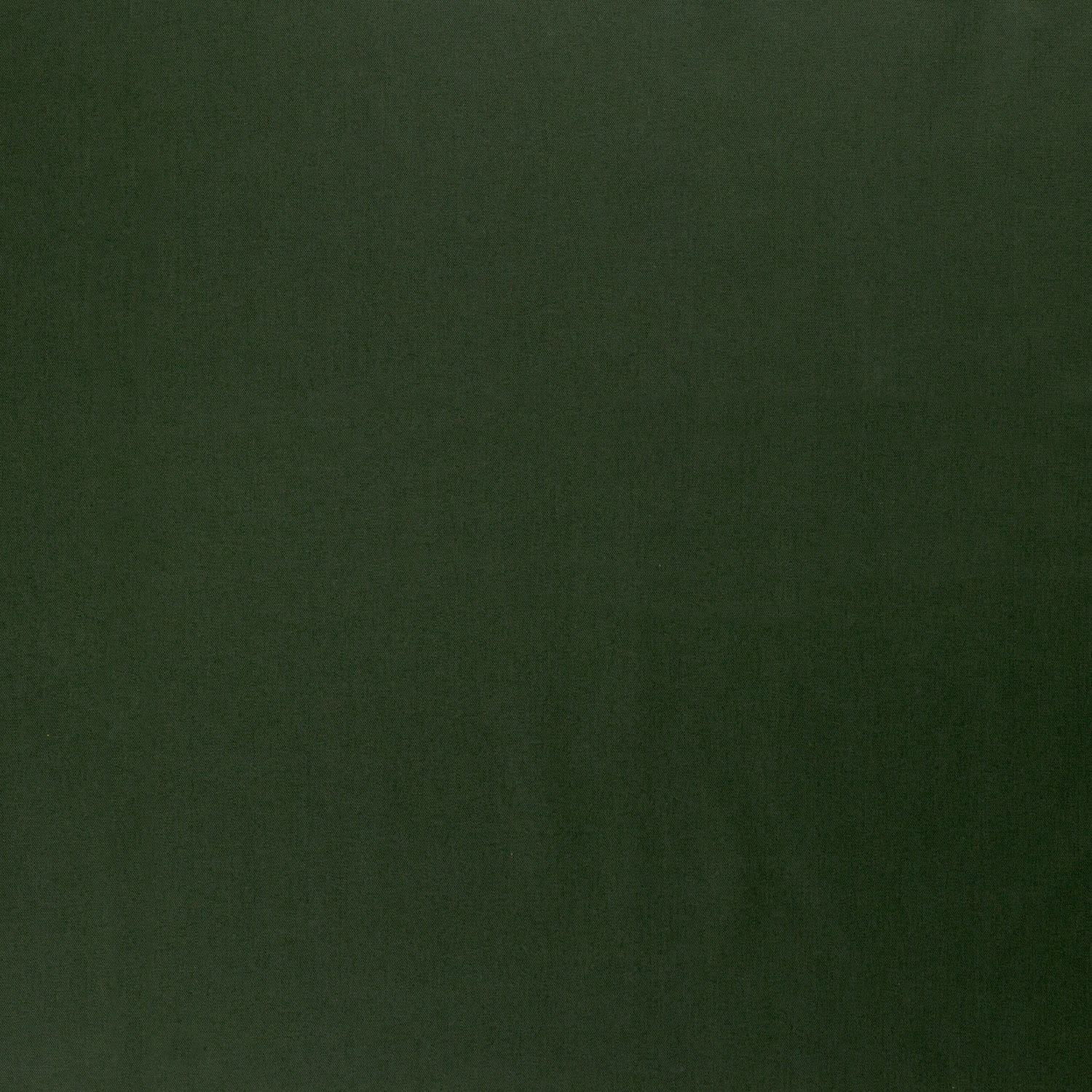forest (N028)