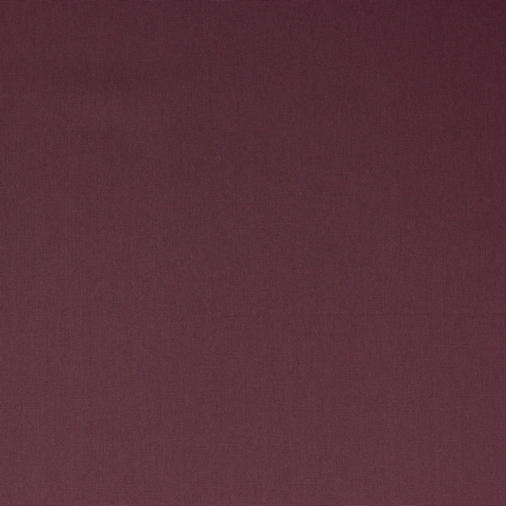 aubergine (080)