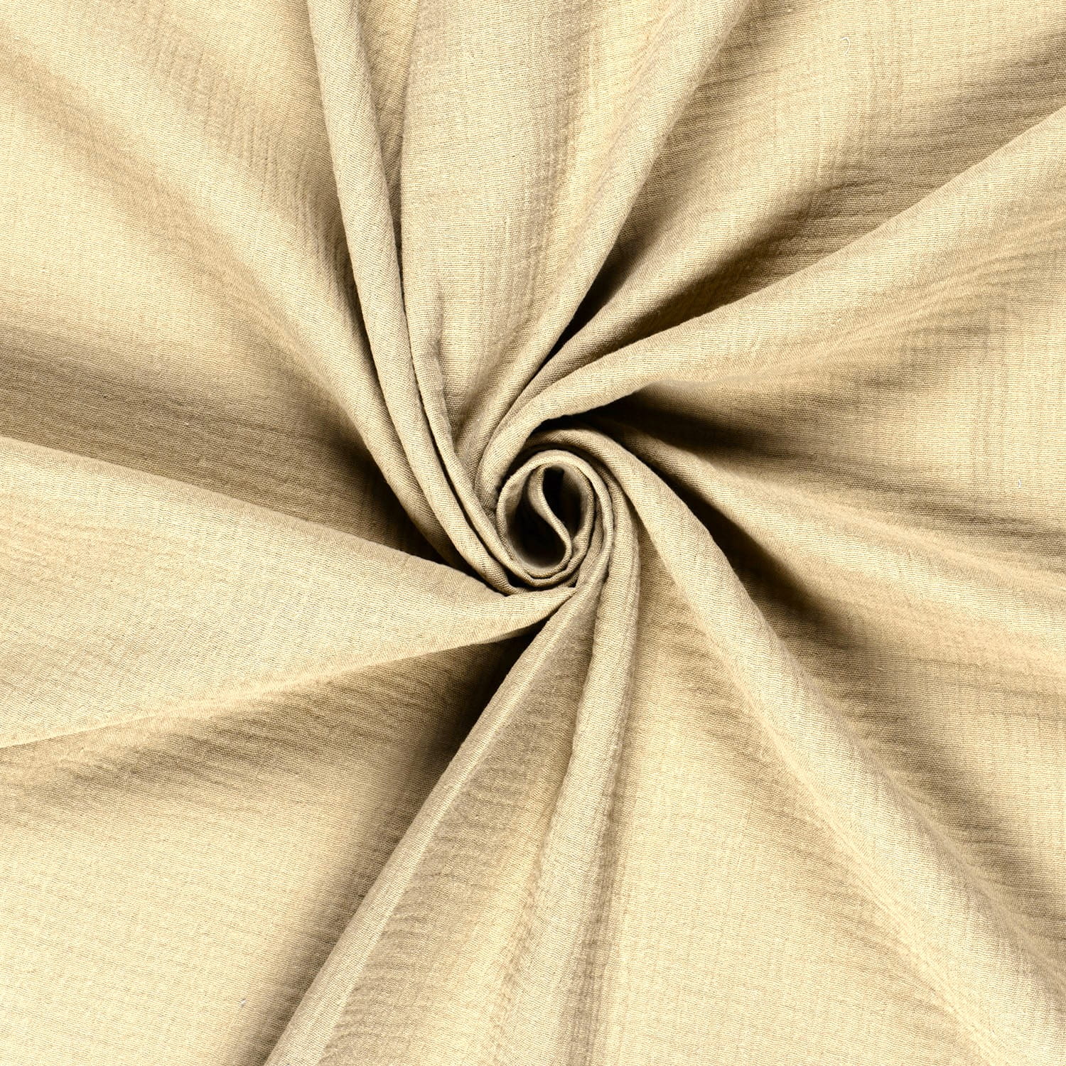 camel (N053)