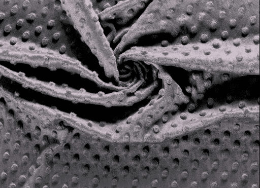 Minky-Fleece uni dunkelgrau mit Noppen
