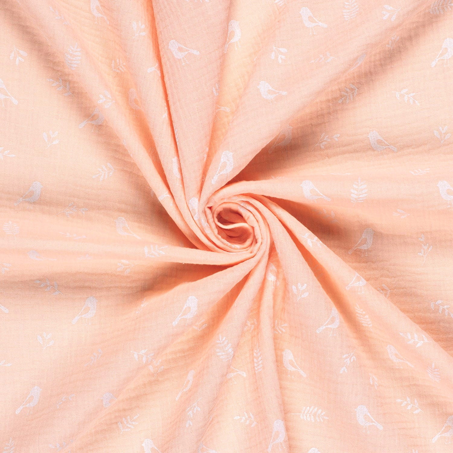 apricot (211) 
