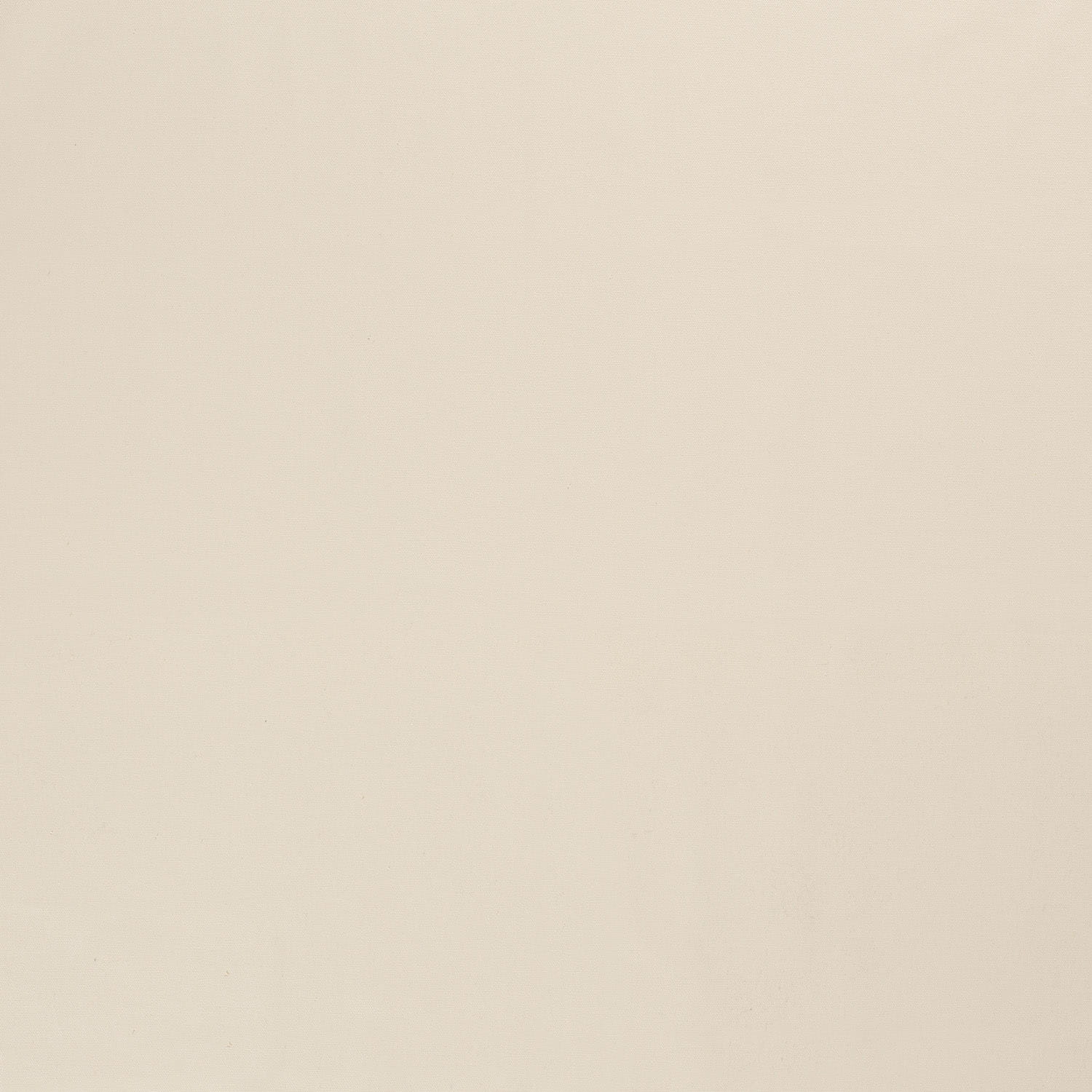 hellbeige (N151)