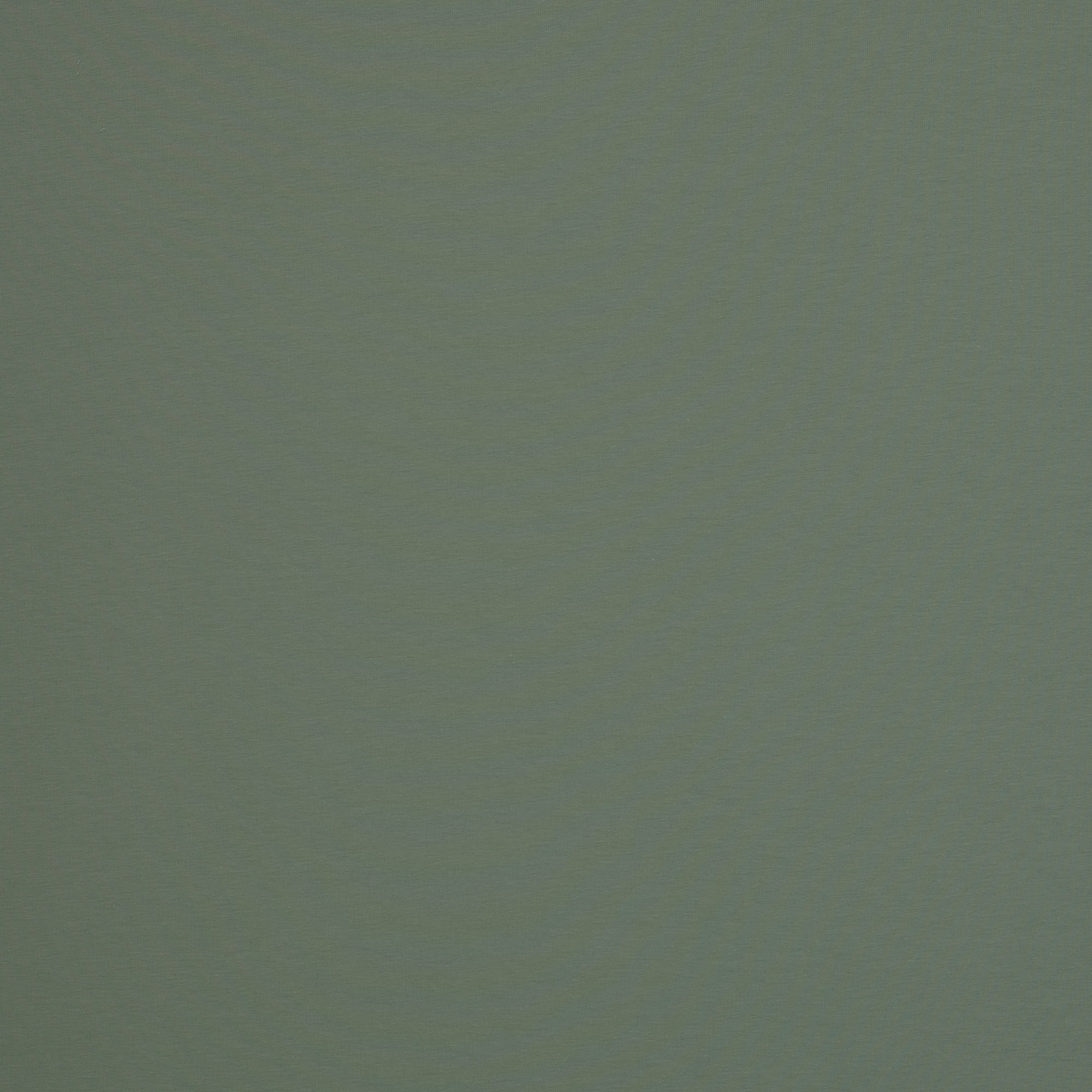 altmint (265)