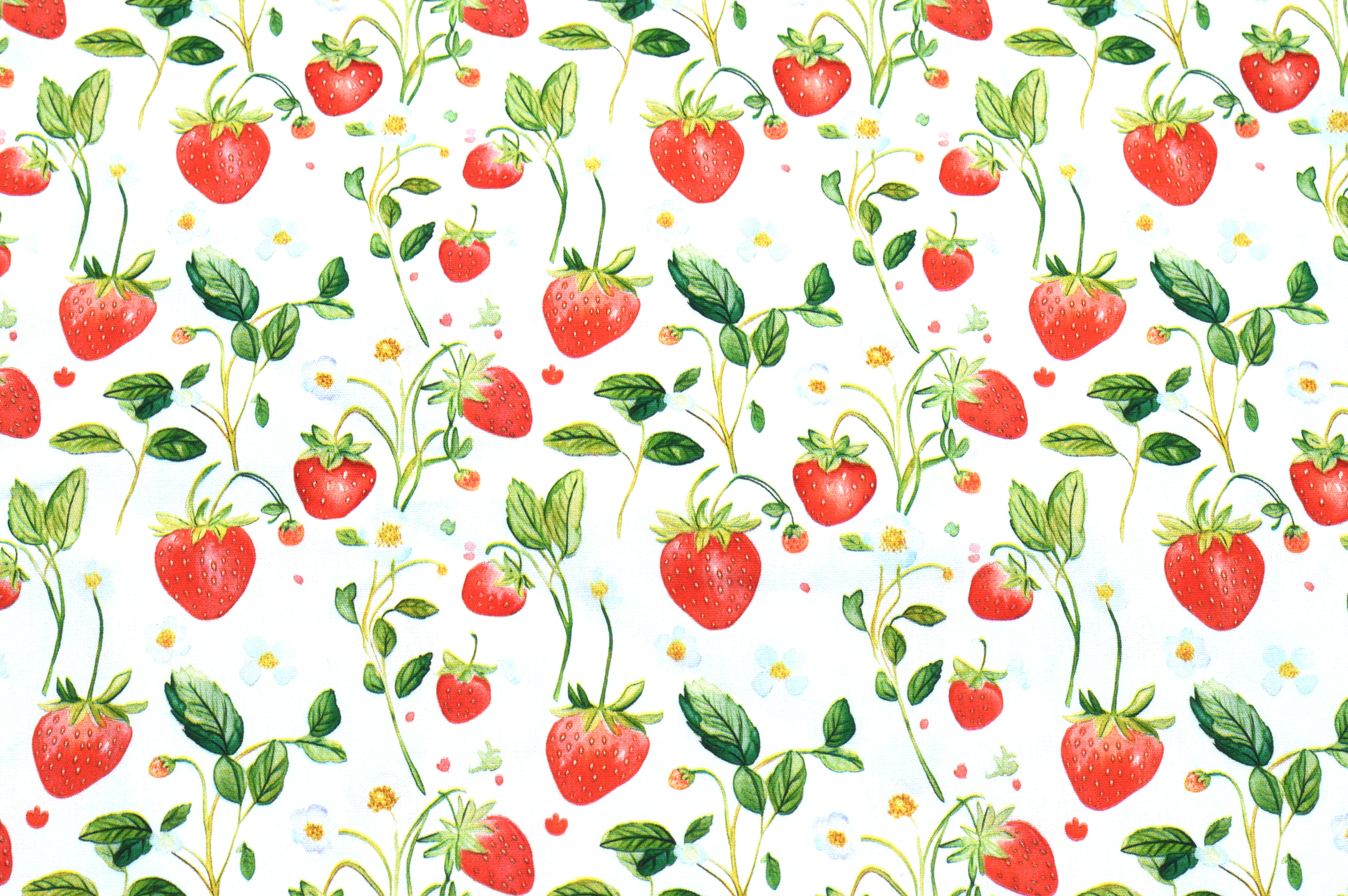 Baumwollstoff Digitaldruck Eigenproduktion mit Erdbeeren und Blättern - ecru  