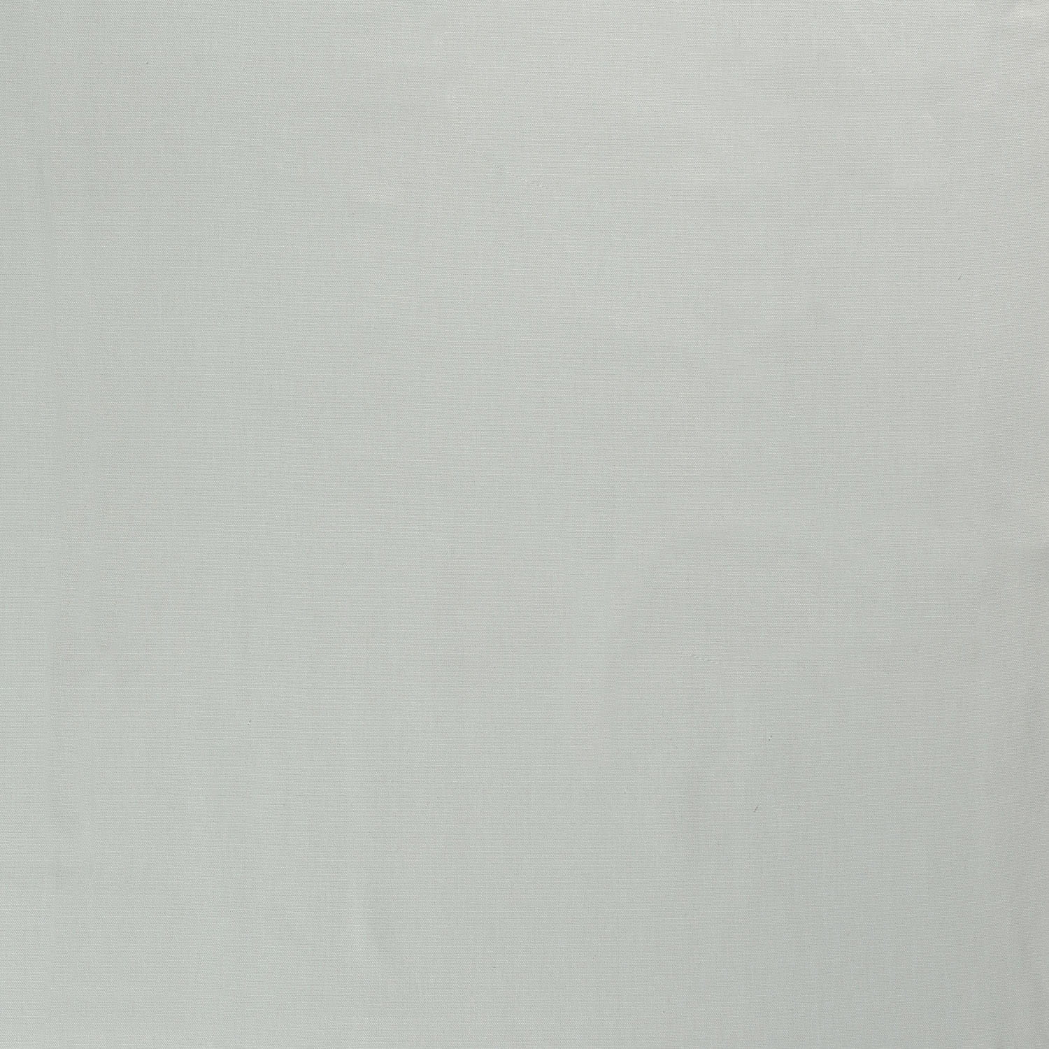 mint (N020)