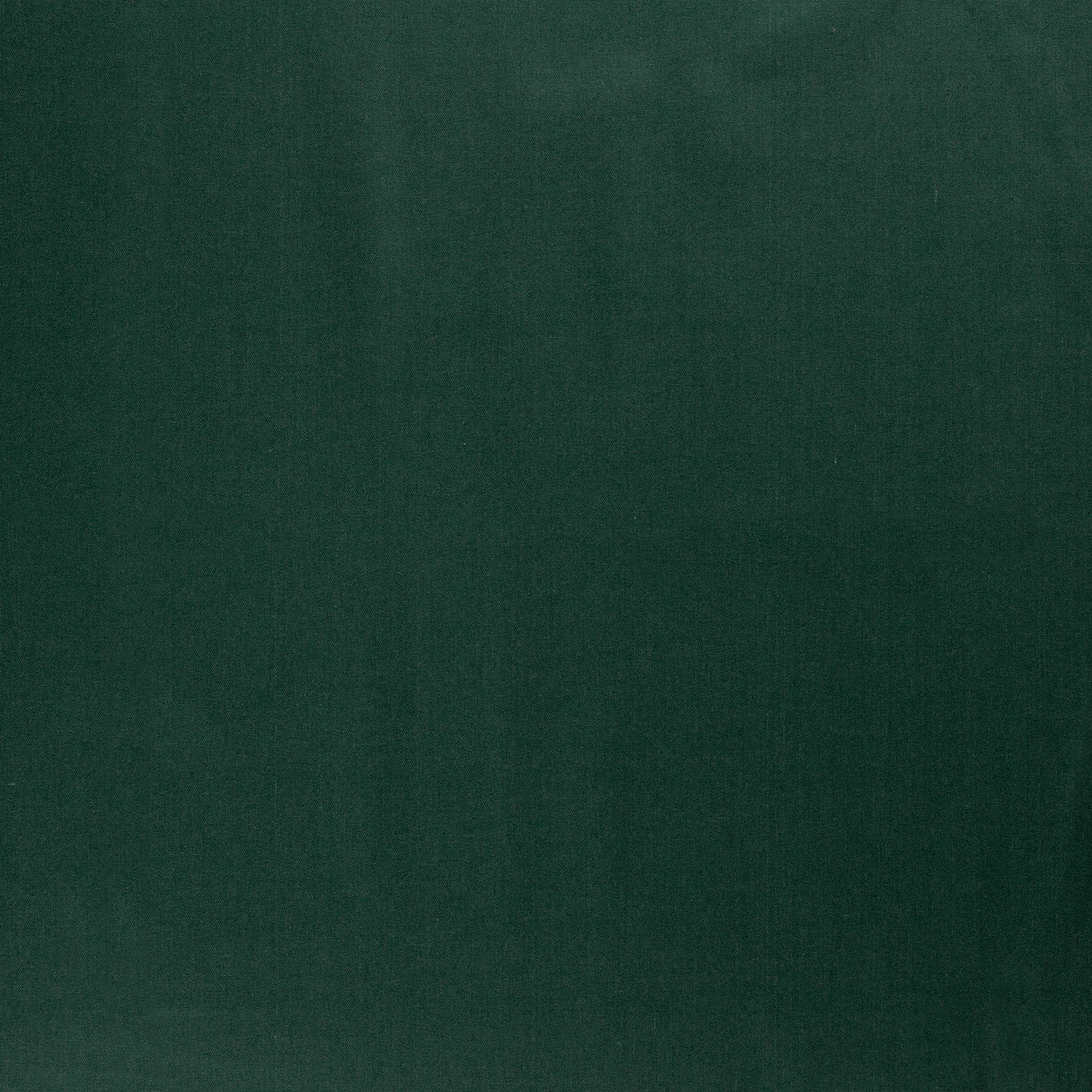 petrol (N124)