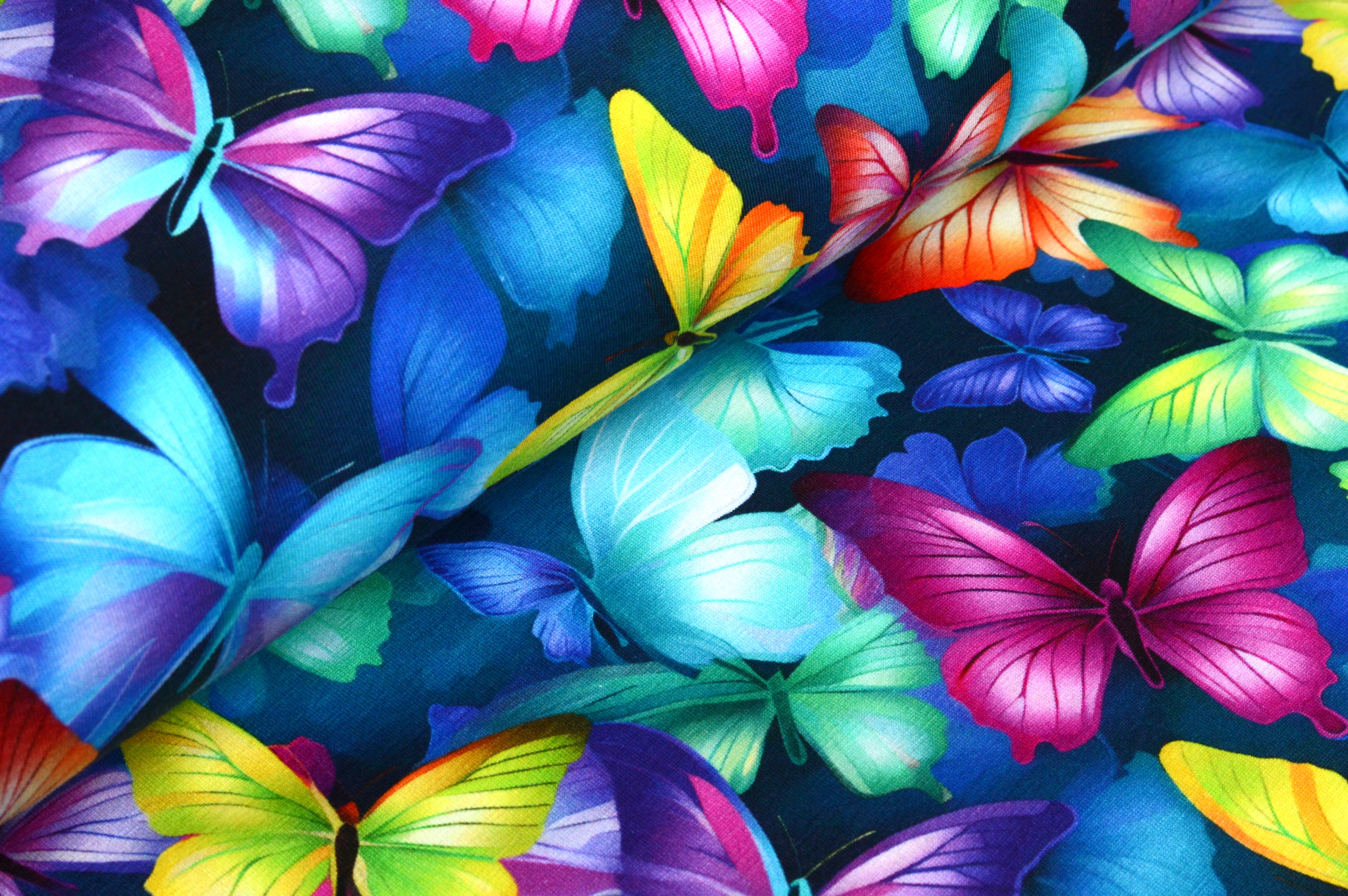 Digitaljersey Eigenproduktion "Butterfly Magic" mit bunten Schmetterlingen - navy