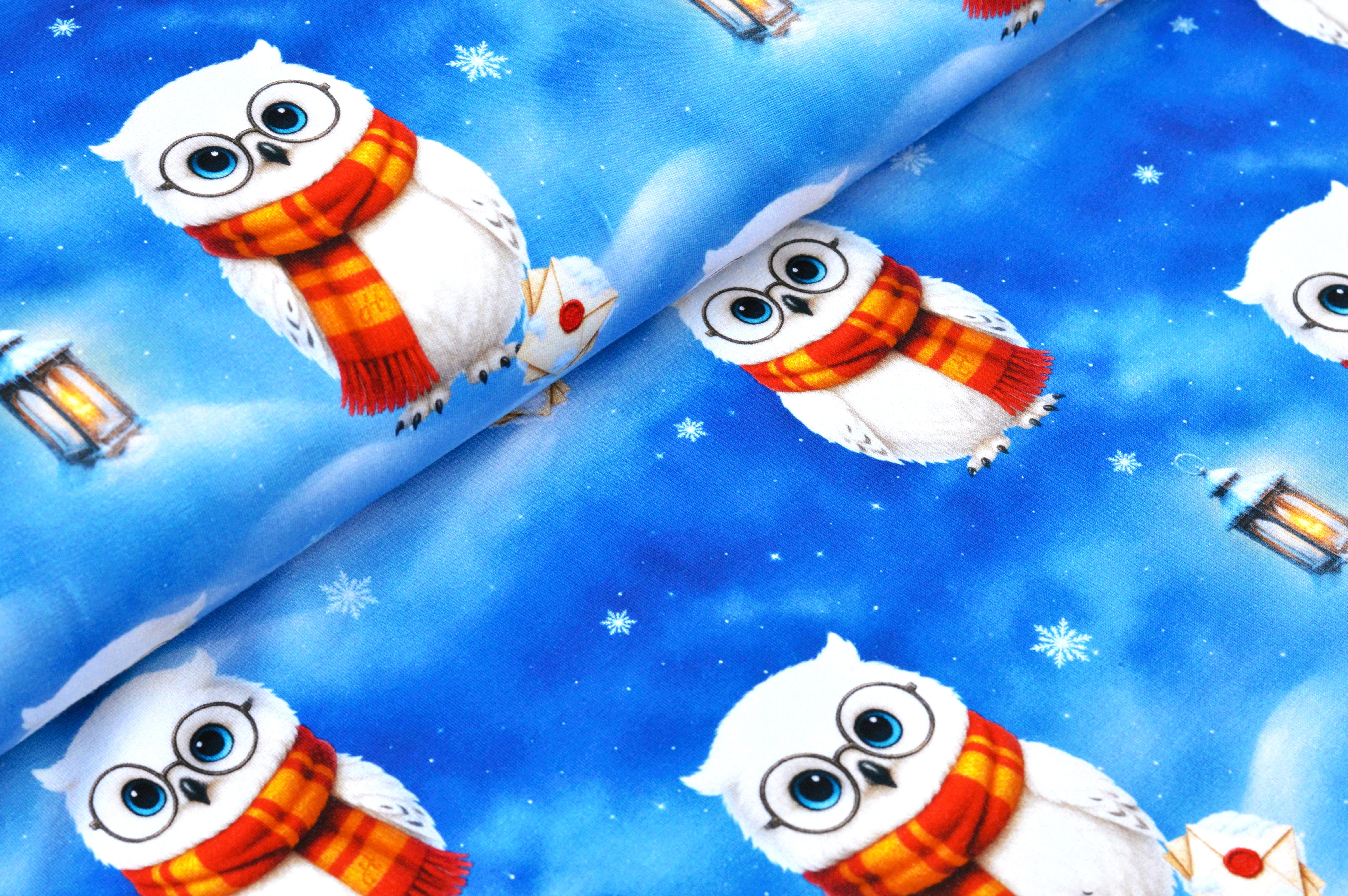 Digitaljersey Eigenproduktion "Wintereule Emil" und der magische Brief - blau