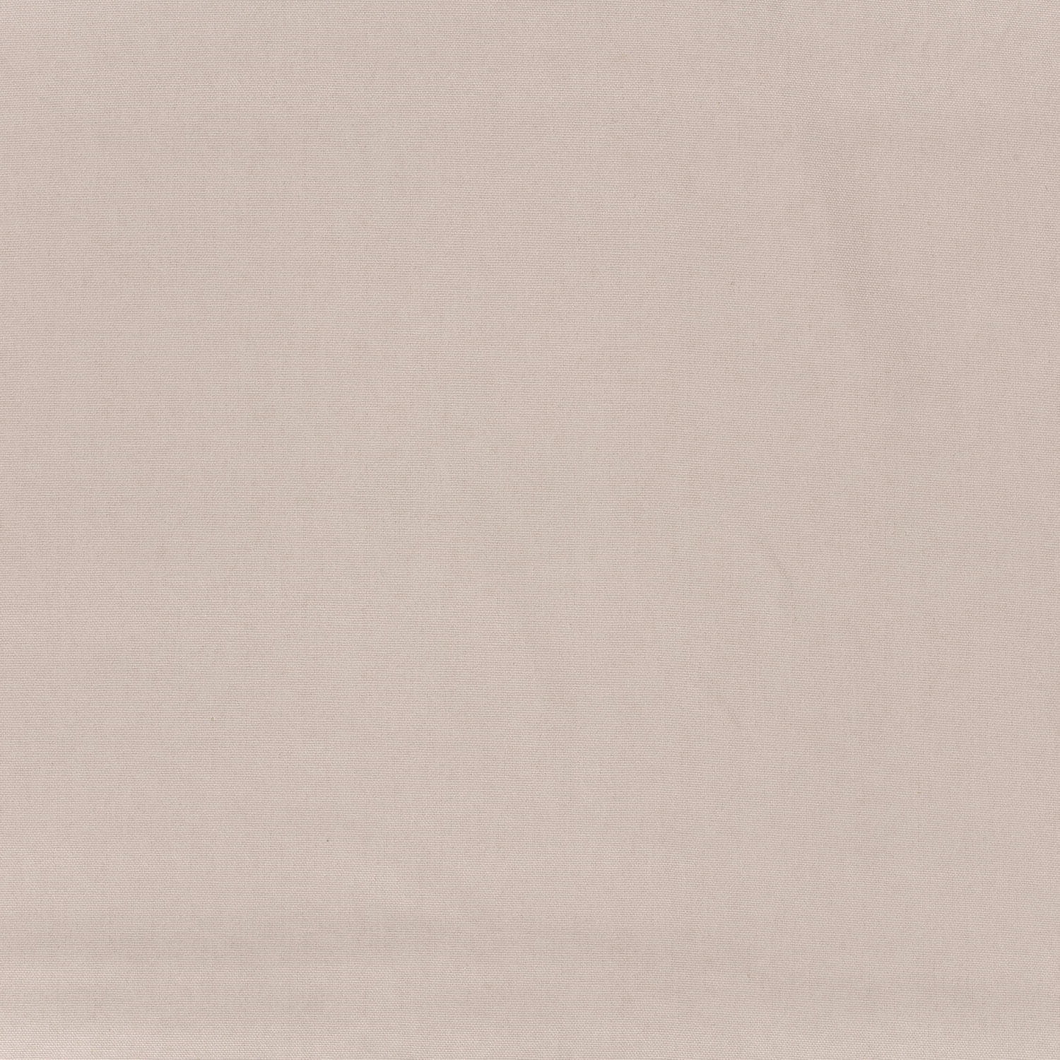 beige (N252)