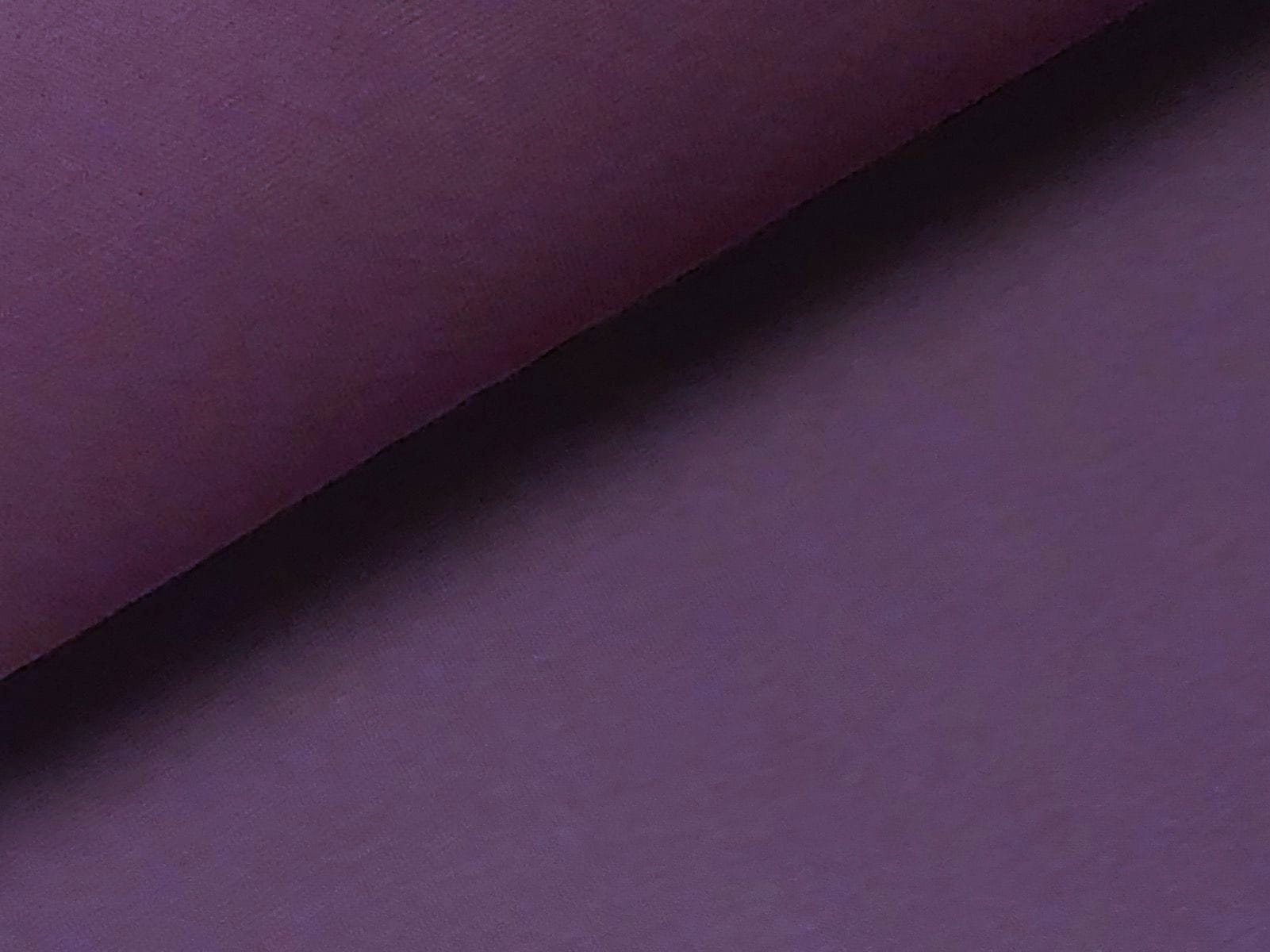 aubergine (133)