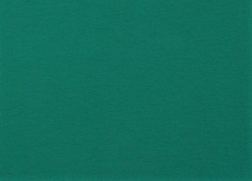 Organic Cotton Baumwolljersey uni petrol (012)